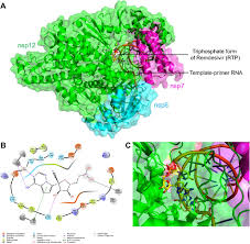 Maybe you would like to learn more about one of these? Rational Design Of The Remdesivir Binding Site In The Rna Dependent Rna Polymerase Of Sars Cov 2 Implications For Potential Resistance Biorxiv