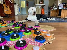 As if it had been going out of fashion. Tiktok User Teaches Their Dog To Talk Using Buttons Gets Surprised When She Asks Who She Is Bored Panda