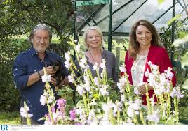 Bei gesprächen über apfelblüte, rosenschnitt oder kräuterbeet verraten die prominenten auch persönliches und. Uschi Dammrich Von Luttitz Vip Garten 2017