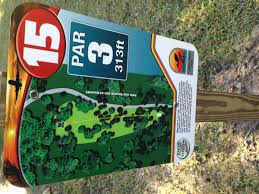 Cypress pointe resort by diamond resorts features an outdoor pool, a children's pool, and a fitness center. Hole 15 Cypress Point Park Tampa Fl Disc Golf Courses Disc Golf Scene