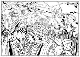 Then, using crayons or colored pencils to make a nice picture and colorful. Inspiration Supris Douanier Rousseau Masterpieces Adult Coloring Pages