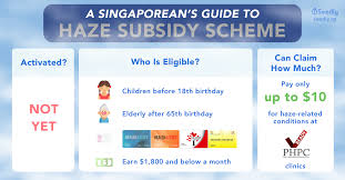The costs are for an assumed haze period of three months in a year. A Singaporean S Guide To The Haze Subsidy Scheme