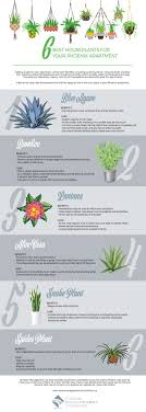May 13, 2021 · shake the flowers in a bag of salt. The Six Best Houseplants For Your Phoenix Apartment Heers Management