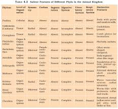 ncert class xi biology chapter 4 animal kingdom aglasem