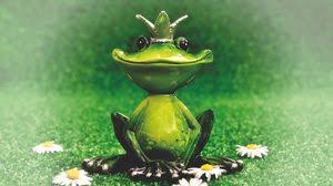 See more ideas about frog and toad, toad, amphibians. Frog Wallpapers Hd Desktop Backgrounds Images And Pictures