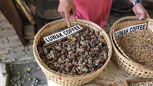 Make no mistake.once a coffee bean is consumed by an animal and excreted via the opposite avenue, it ceases to be a coffee bean; 3 Reasons Why You Shouldn T Drink Luwak Coffee Intrepid Travel Blog
