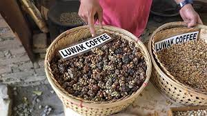 Discover why it's so the rhesus monkeys and formosan rock macaques who help process the beans do not ingest them. 3 Reasons Why You Shouldn T Drink Luwak Coffee Intrepid Travel Blog