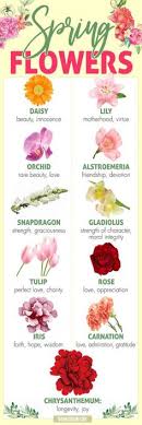 It could be because red roses symbolize love, romance, beauty and perfection. 64 The Language Of Flowers Ideas Language Of Flowers Flower Meanings Flowers