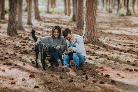 Pin On Brisbane Gold Coast Sunshine Coast And Surrounds Family Photographer