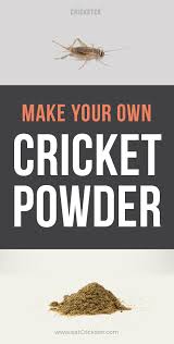 How To Make Diy Cricket Flour The Easy Way Cricket Flour Eating Insects Cricket Powder