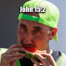 Is any trigger shoe good for the phantom, or is there one that fits best?