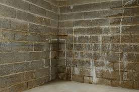 We did not find results for: Realiser L Etancheite D Un Mur Enterre Murhumide Fr