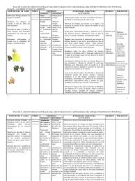 Esperamos que estos libros de textos constituyan una de las principales herramientas para el buen desarrollo. Ciencias Naturales Los Bosques Biodiversidad
