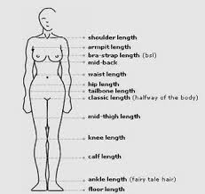 Related Keywords Suggestions For Hair Length Chart Men