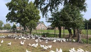 Cinq ans plus tard, la france lui donne un statut. Vacances A La Ferme En Famille Trois Adresses En France L Express