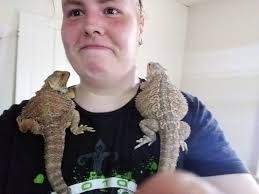 Cheeto: wait daddy I'm fall!! Me: you got it big boy..let's roll.