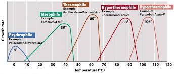 Mikroorganisme mempunyai nilai kelembaban optimum. Media Pertumbuhan Buatan Mikrobiologi Mydokterhewan