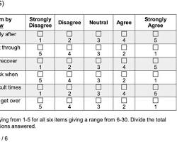 Image of Brief Resilience Scale (BRS) questionnaire