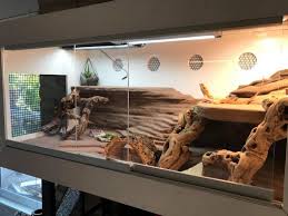 The enclosure is 4' wide and 2' deep 2' tall. How To Build A Bearded Dragon Habitat Complete Guide Tips 2021