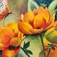 Beginner’s Watercolor Class with Barb Hicklin event image