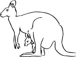Download Kangaroo Svg Vector Kangaroo Clip Art Svg Clipart