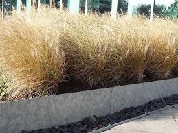 From traditional timber and weathered slate to stones, pebbles and coloured concrete, we're confident you'll get a. 10 Great Lawn Edging Ideas Buy Metal Online