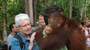 Zusammen mit dem biologen und zoodirektor des karlsruher zoos dr. Frank Elstner Auf Swr Expedition In Indonesien