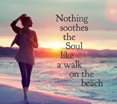 I love watching the sunrise and sunset and the sky, the birds. Sony Crystal On Twitter Beach Quotes Sunset Quotes Ocean Quotes