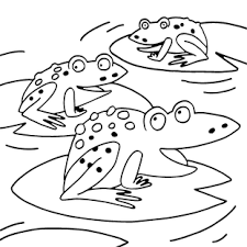 coloriage dessin grenouille en ligne gratuit a imprimer  avion