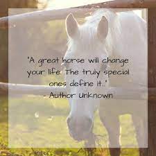 What A Beautiful Horse Quote Who Agrees Inspirational Horse Quotes Horse Love Quotes Horse Riding Quotes