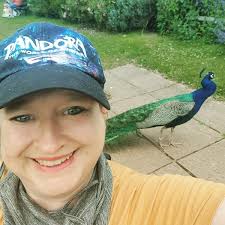 Note book.: Art, Jo Fox: Amazon.com: Books