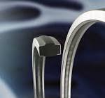 Metal endcaps | High pressure wellhead sealing | James Walker