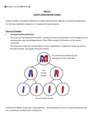 Meiosis review worksheet answer key pdf shows the. Connecting Meiosis With Mendelian Inheritance Powerpoint