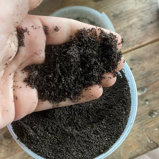 Tea Seed Meal manufacturer