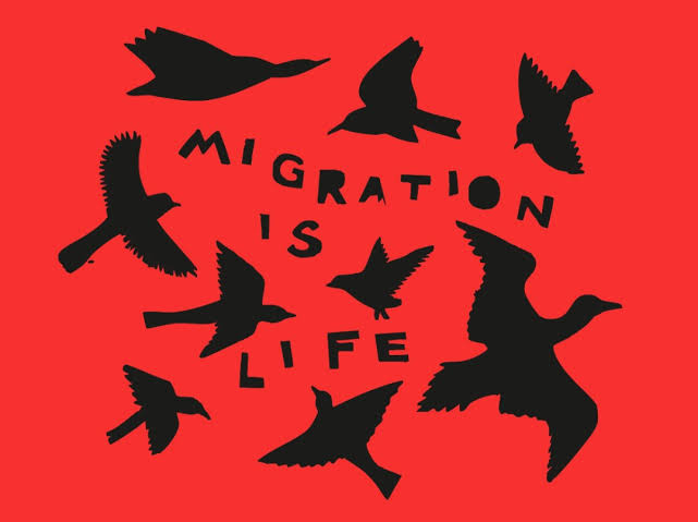 We need to change the story – solidarity not racism – Right to Remain