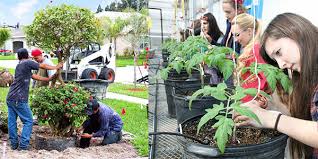 Beneficial to work in a professional garden or on a farm where you can learn about the different plants, and the. Horticulture Career Details On Horticulturist Careers In India
