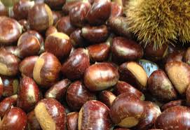 Domaine Du Bois De Belle Chataignes Et Marrons D Ardeche Producteur Ardeche