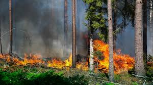 Anledningen är den senaste tidens värme och torka som gör att det råder hög brandrisk i skog och mark, skriver länsstyrelsen. Eldningsforbud I Hela Stockholms Lan Dn Se