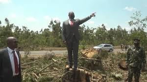 Veep Orders Investigation Into Lusangazi Forest Destruction