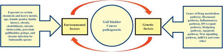 Genetic Landscape Of Gallbladder Cancer Global Overview Sciencedirect