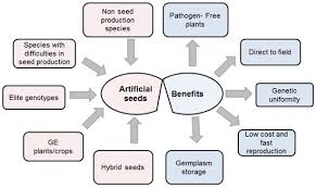 There are national seed banks dedicated to preserving a population's wild species and community seed banks, which store regional and heirloom seeds. Agronomy Free Full Text Artificial Seeds Principle Aspects And Applications Html