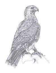 Pin On 2 Drawings Pen Ink Painting