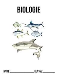 Biologie Deckblatt Fische Deckblatter Zum Ausdrucken Schulbeginn Schulanfang Ersterschultag Einschulung Vorlage In 2020 Biologie Deckblatt Ausdrucken