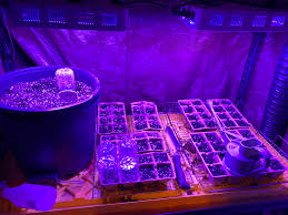 Maybe you would like to learn more about one of these? The 99 Mendel Air Sensor Uses Data To Help You Grow Better Veggies Or Weed Techcrunch
