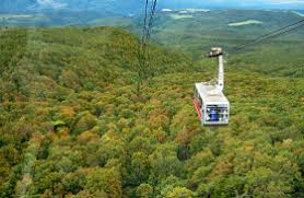 Image result for Hakkoda Walk