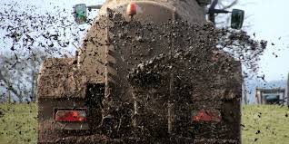 De fractie van de partij voor de dieren in de friese staten wil dat de provincie mestfraude hard aanpakt. Grootschalige Mestfraude Noord Limburg Gennepnews