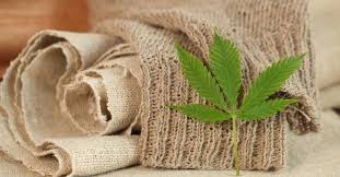 Check spelling or type a new query. What Are The Advantages And Disadvantages Of Hemp Fabric