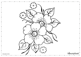 Vind je het ook leuk om schattige tekeningen te. Kleurplaten Van Bloemen