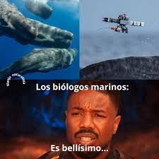 Científicos que estudian Cachalotes con drones 🐋 Frente a Dominica, un  grupo de científicos está usando drones de una forma nunca vista: ¡para  colocar sensores directamente sobre cachalotes sin molestarlas! Este nuevo