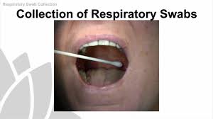 Respiratory Swab Collection Training Video Nsw Health Youtube